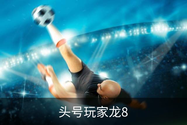 关于头号玩家龙8